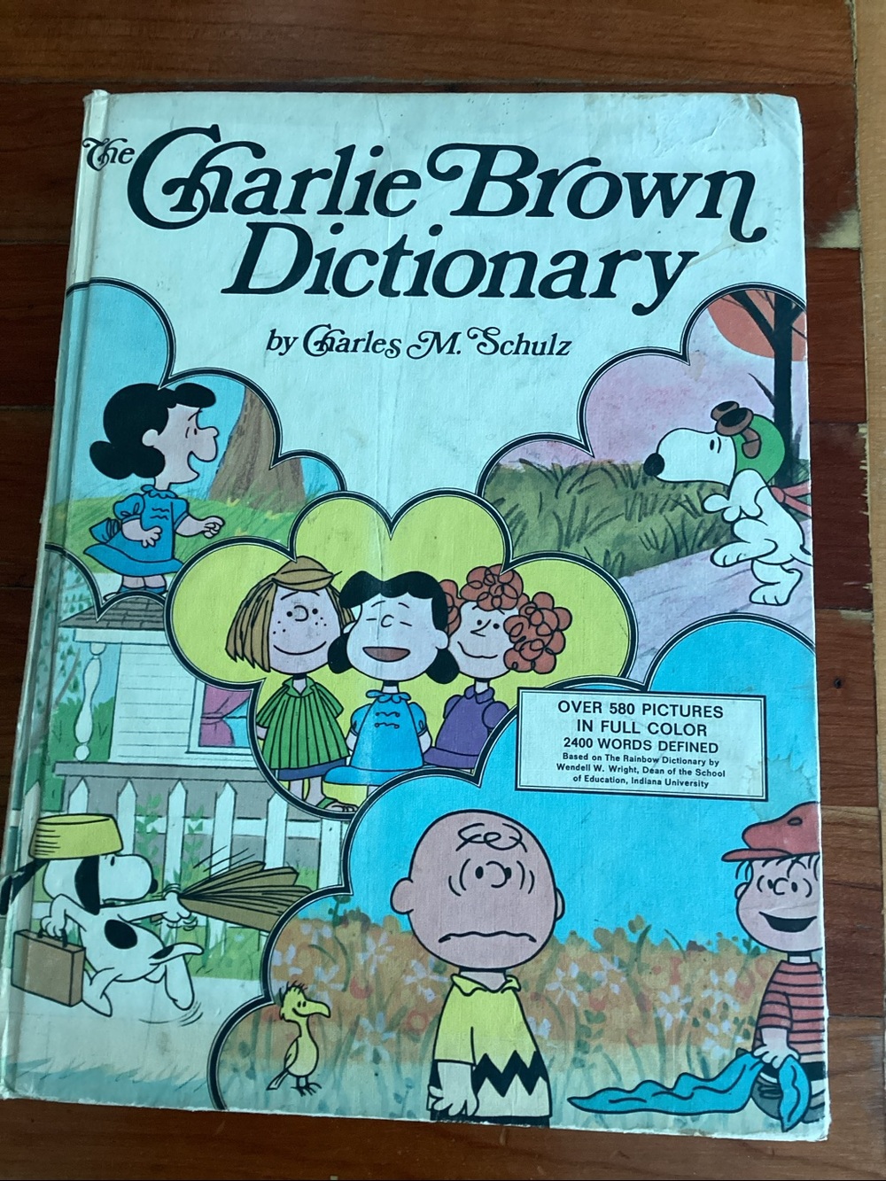 Vintage Charlie Brown DICTIONARY Picture Book 📚 VERY RARE